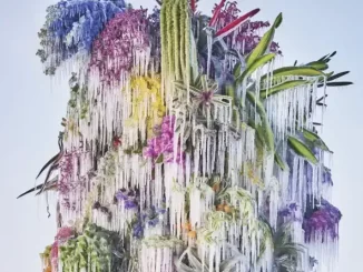 Album: Wilco - Cousin Cousin
