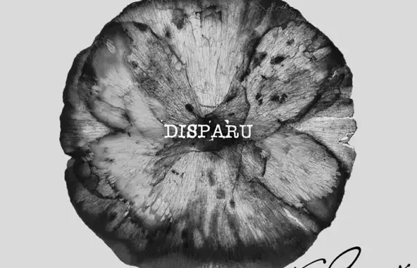 Disparu Disparu