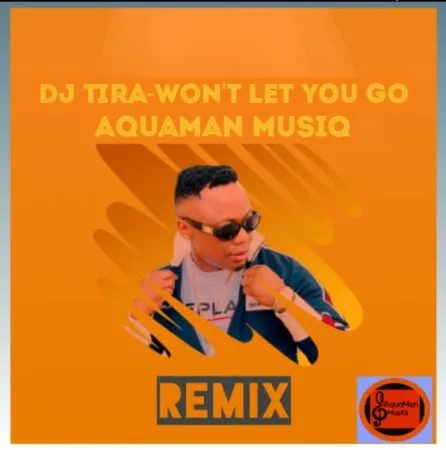 Dj Tira – Wont Let You Go (AquaMan MusiQ Remix) Dj Tira – Wont Let You Go (AquaMan MusiQ Remix)