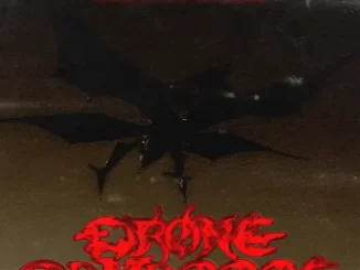 Ufo361 & Destroy Lonely - Drone Damaggge Drone Damaggge Single