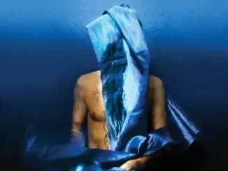 Album: Devendra Banhart - Flying Wig Flying Wig