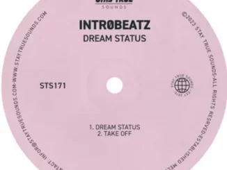 EP: Intr0beatz - Dream Status EP: Intr0beatz - Dream Status