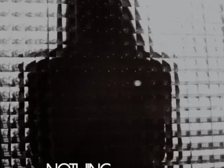 Album: Teenage Fanclub - Nothing Lasts Forever Nothing Lasts Forever