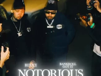 Album: Rucci & Bankroll Got It - Notorious Notorious