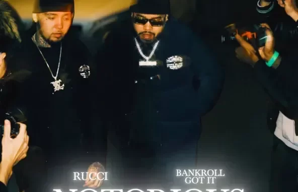 Notorious Notorious