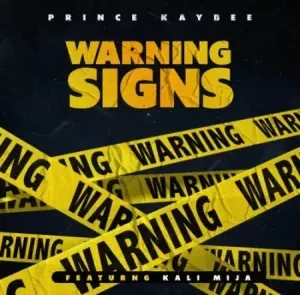 Prince Kaybee – Warning Signs ft Kali Mija Prince Kaybee – Warning Signs ft Kali Mija