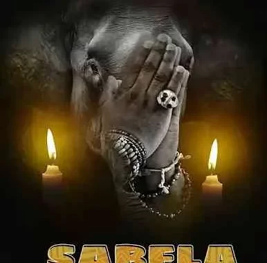 QuayR Musiq & LastbornDiroba – Sabela ft. Leemckrazy, Mellow & Sleazy QuayR Musiq & LastbornDiroba – Sabela ft. Leemckrazy, Mellow & Sleazy
