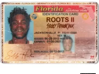 Album: Seddy Hendrinx - Roots II Roots II