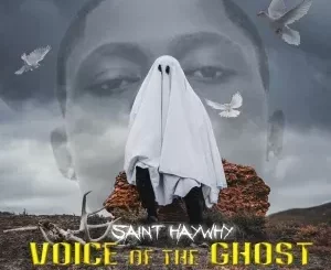 Saint Haywhy - Voice Of The Ghost Saint Haywhy – Voice Of The Ghost