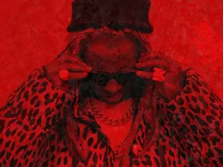 Lil Wayne - Birds Lil Wayne - Good Morning