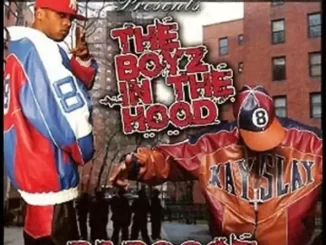 Album: Papoose - The Boyz In the Hood The Boyz In the Hood