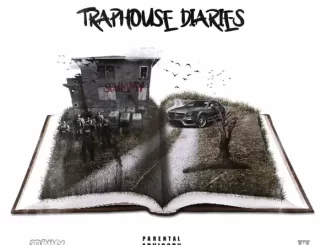 Album: Little Torment - Traphouse Diaries Traphouse Diaries