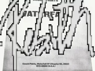 Album: Couch Prints - Waterfall (Rebirth) Waterfall (Rebirth)