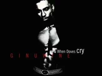 Album: Ginuwine - When Doves Cry - The Remixes When Doves Cry The Remixes
