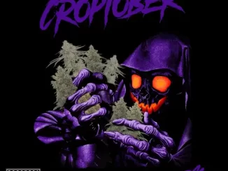 Album: Money Man - CROPTOBER CROPTOBER