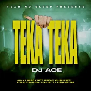 DJ Ace – Teka Teka ft. QuayR Musiq, Nate Africa, XolisoulMF, Leekay, Majestigg, Chillibite & Lesmahlanyeng DJ Ace – Teka Teka ft. QuayR Musiq, Nate Africa, XolisoulMF, Leekay, Majestigg, Chillibite & Lesmahlanyeng