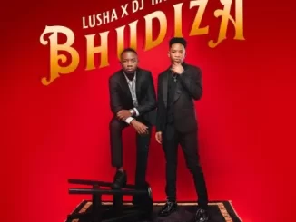 DJ Harvey & Lusha - Bhudiza ft TA MusiQ, Citykingrsa, JFS Music, Blvcknavy & Deeray DJ Harvey & Lusha – Bhudiza ft TA MusiQ, Citykingrsa, JFS Music, Blvcknavy & Deeray