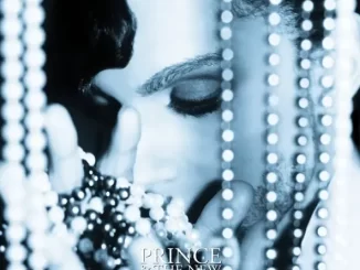 Album: Prince - Diamonds And Pearls (Super Deluxe Edition) Diamonds And Pearls (Super Deluxe Edition)