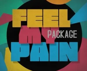 Dj Alaska - Feel My Pain Dj Alaska – Feel My Pain
