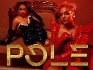 Mimi Mars - Pole ft Nandy Mimi Mars – Pole ft Nandy
