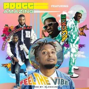 PDogg Amazing – Feeling The Vibe Ft. Okmalumkoolkat & Blxckie PDogg Amazing – Feeling The Vibe Ft. Okmalumkoolkat & Blxckie