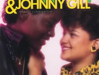 Album: Stacy Lattisaw & Johnny Gill - Perfect Combination Perfect Combination