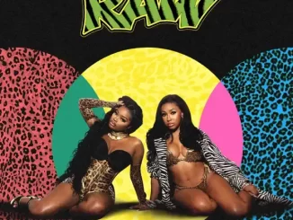 Album: City Girls - RAW City Girls - Fancy Ass Bitch (feat. Juicy J
