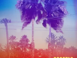 Album: Dogstar - Somewhere Between the Power Lines and Palm Trees Somewhere Between the Power Lines and Palm Trees