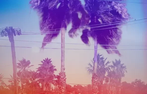 Somewhere Between the Power Lines and Palm Trees Somewhere Between the Power Lines and Palm Trees