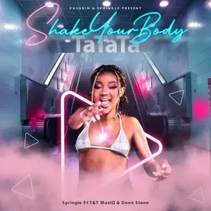 Springle – Shake Your Body (Tatata) ft. Donn Stone, T&T Muziq Springle – Shake Your Body (Tatata) ft. Donn Stone, T&T Muziq
