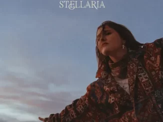 Album: Chelsea Cutler - Stellaria Stellaria