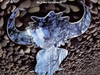 Album: Jamiroquai - Synkronized Synkronized