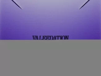 Album: Valee & MVW - VALEEDATION VALEEDATION