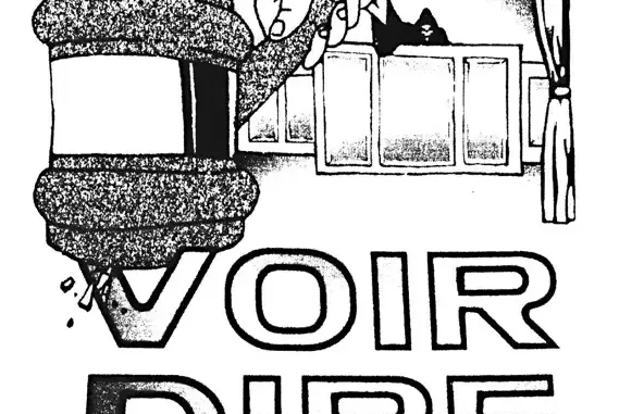 VOIR DIRE VOIR DIRE
