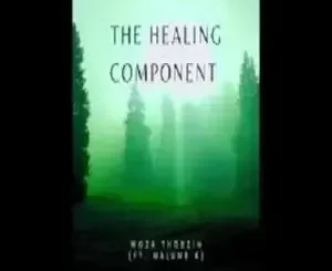 Woza Thobzin - The Healing Component ft. Malume K