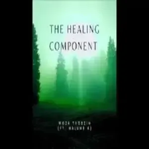 Woza Thobzin – The Healing Component ft. Malume K Woza Thobzin – The Healing Component ft. Malume K
