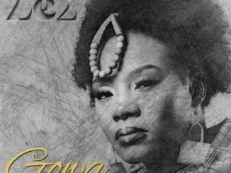 Ze2, OSKIDO & X-Wise - Gowa (Ayoba Revisit) Ze2, OSKIDO & X Wise – Gowa (Ayoba Revisit)