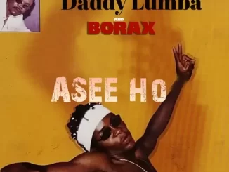 Album: Daddy Lumba & Borax - Asee Ho Asee Ho