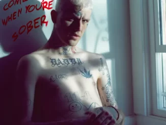 Album: Lil Peep - Come Over When You're Sober, Pt. 2 (og version) Come Over When You're Sober, Pt. 2 (og version) Lil Peep