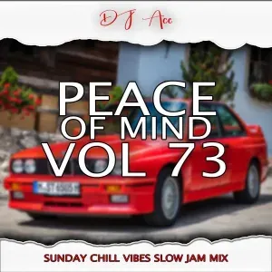 DJ Ace – Peace of Mind Vol. 73 (Sunday Chill Vibes Slow Jam Mix) DJ Ace – Peace of Mind Vol. 73 (Sunday Chill Vibes Slow Jam Mix)