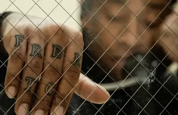 Free TC (Deluxe Edition) Free TC (Deluxe Edition)
