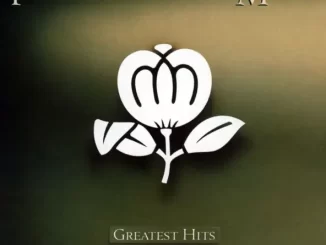 Album: Fleetwood Mac - Greatest Hits Greatest Hits