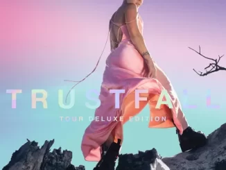 Album: P!nk - TRUSTFALL (Tour Deluxe Edition) P!nk TRUSTFALL (Tour Deluxe Edition)