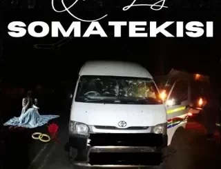 Queen Lolly - Somatekisi Queen Lolly – Somatekisi