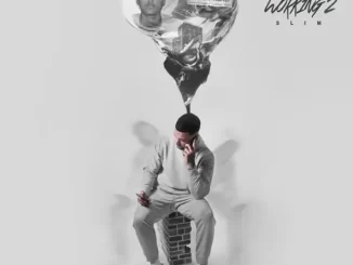 Album: Slim - Still Working 2 Still Working 2