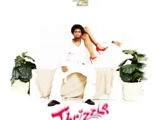 Album: T3 - Thrizzle - Single T3 Thrizzle Single