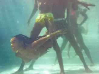 Album: Janelle Monáe - The Age of Pleasure The Age of Pleasure