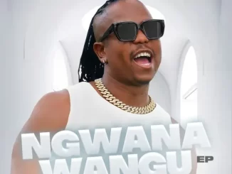VEE MAMPEEZY - NGWANAWANGU VEE MAMPEEZY - VULE MASANGO FT. KILLORBEEZBEATZ, SPHALAPHALA SAGA MAROTHI