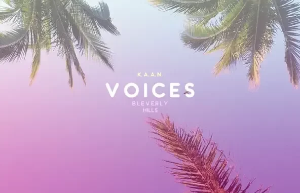 Voices Voices