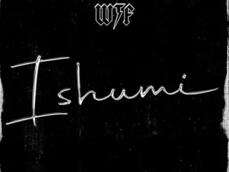 WTF - Ishumi WTF – Ishumi